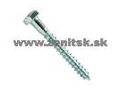 Skrutka do dreva so šesťhrannou hlavou 6mm  , 50 mm